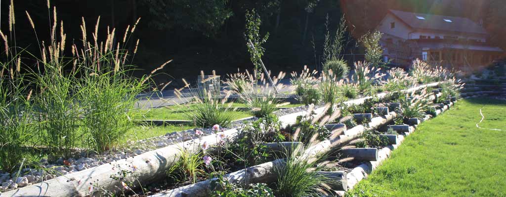 vivaces et graminées